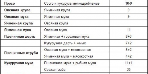 Šta svinja jede: slika za hranjenje, šta jede, koliko puta dnevno hraniti prasad